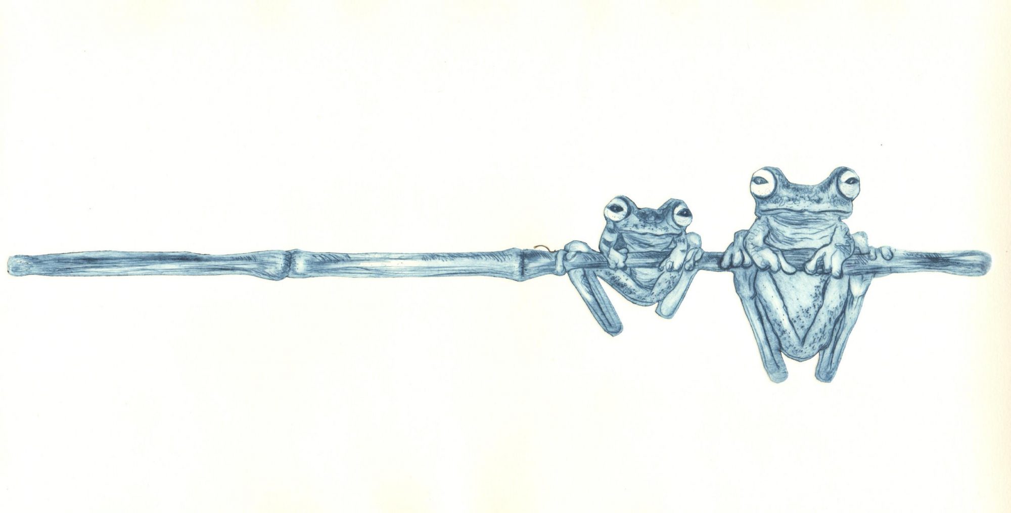 Druckgrafik