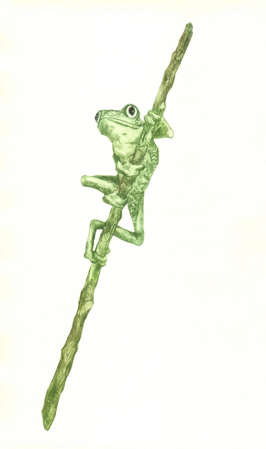 Druckgrafik