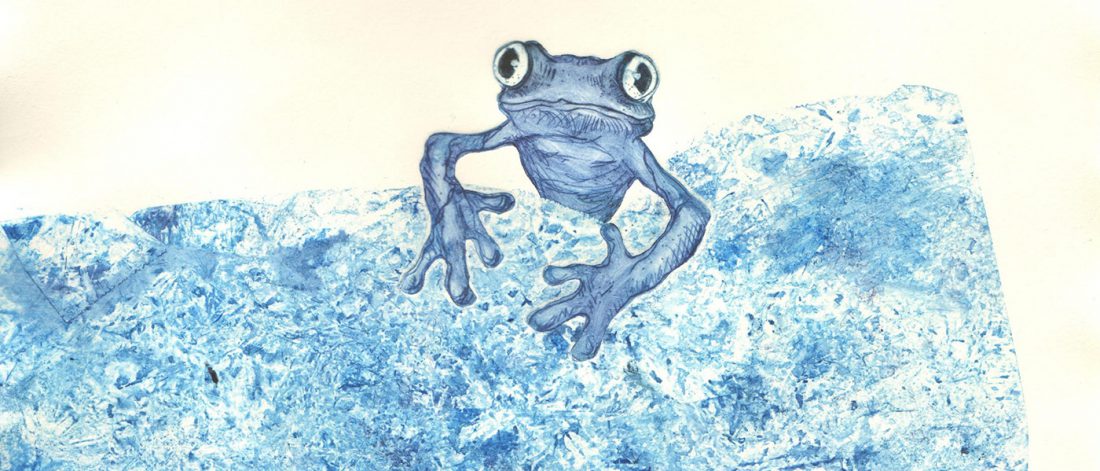 titel_zoologie_k_mempel