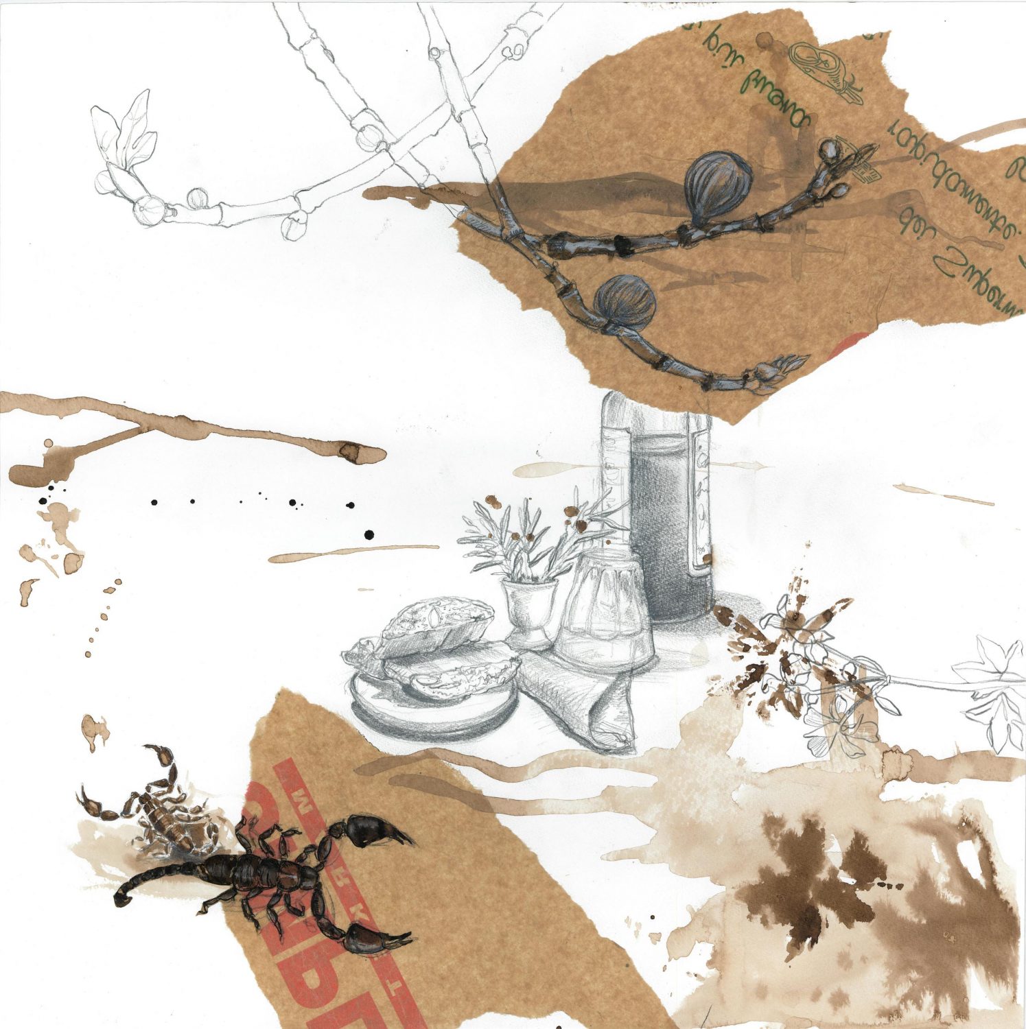 La Vialla Skorpion, 2013 Aquarell, Moorlauge, 50x50 cm