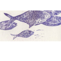 fische füselier2 gesa_voegele