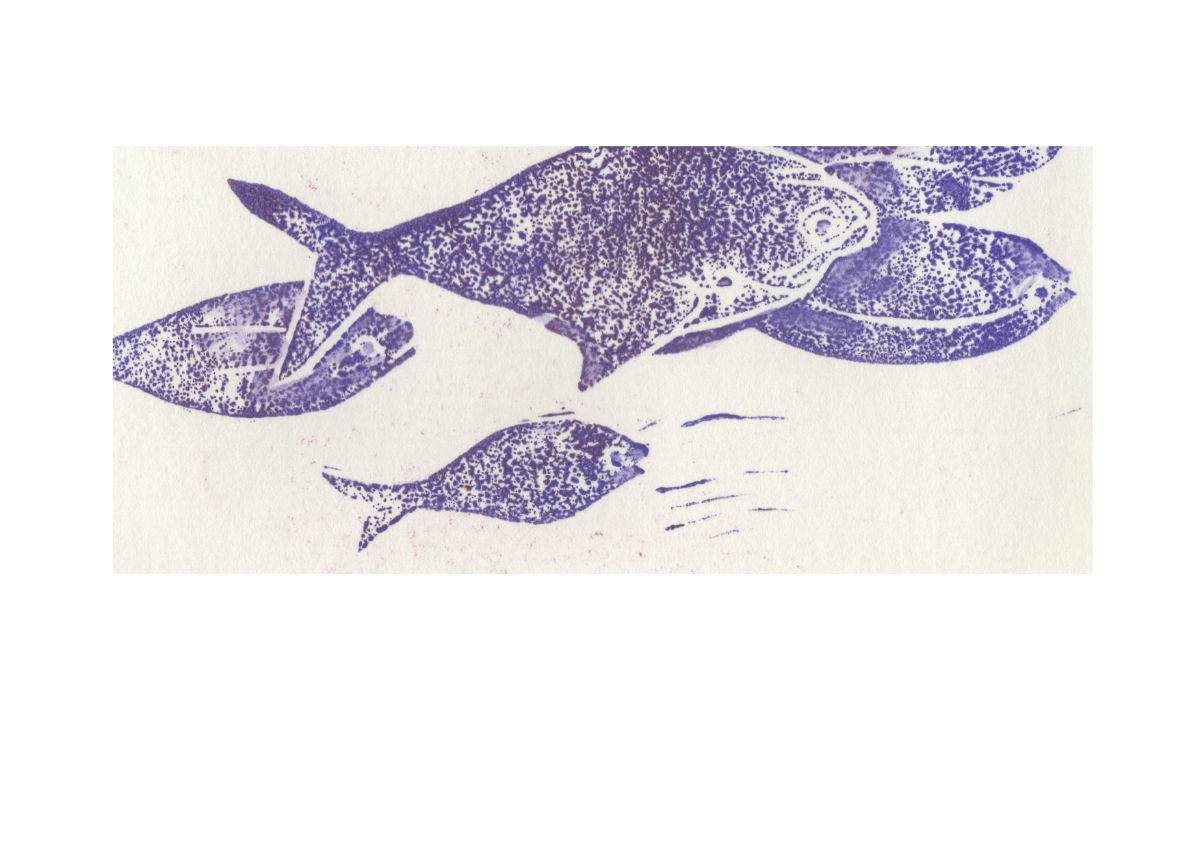 fische füselier2 gesa_voegele