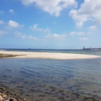 Kiel Fond Kiel Fond